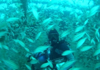 Buceando en lo profundo